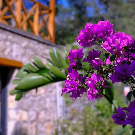 Taskoey Antalya * Hacisekililer