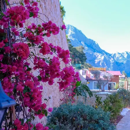 Вилла Taskoey Antalya *