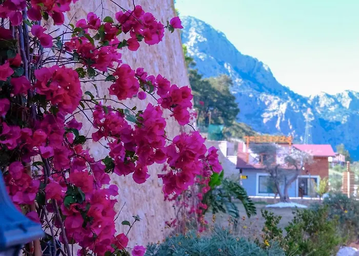 Villa Taskoey Antalya *